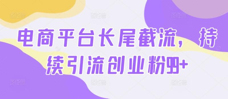 电商平台长尾截流，持续引流创业粉99+| 网创圈