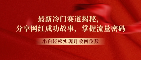 最新冷门赛道揭秘，分享网红成功故事，小白轻松掌握流量密码| 网创圈