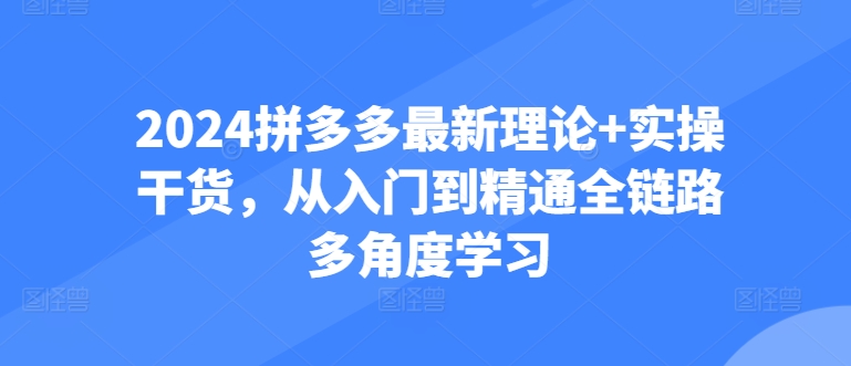 2024拼多多最新理论+实操干货，从入门到精通全链路多角度学习| 网创圈