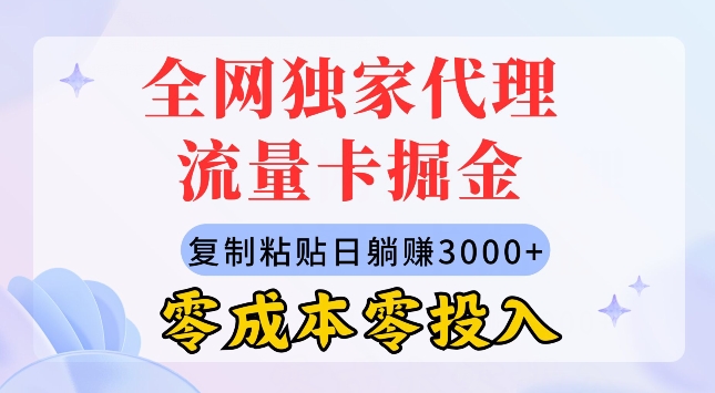 全网独家代理流量卡掘金，复制粘贴，零成本零投入，新手小白有手就行| 副业网