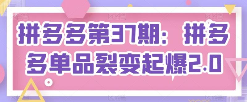 拼多多第37期：拼多多单品裂变起爆2.0| 网创圈