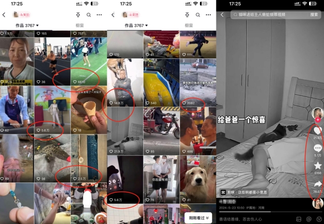 图片[2]| 抖音最新双图文卡模板搬运技术，安卓苹果通用，百万千万播放嘎嘎爆| 网创圈