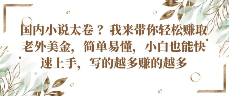 国内小说太卷 ?带你轻松赚取老外美金，简单易懂，小白也能快速上手，写的越多赚的越多【揭秘】| 网创圈