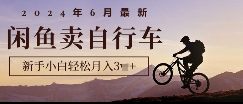2024年6月最新闲鱼卖自行车，新手小白轻松月入1w+，无风险项目| 网创圈