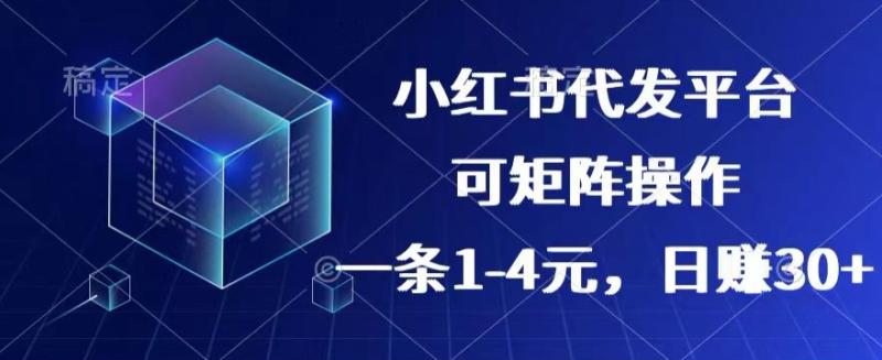 【小红书+抖音】代发平台，一条1~4元，日赚30+的靠谱小项目，可矩阵操作| 网创圈