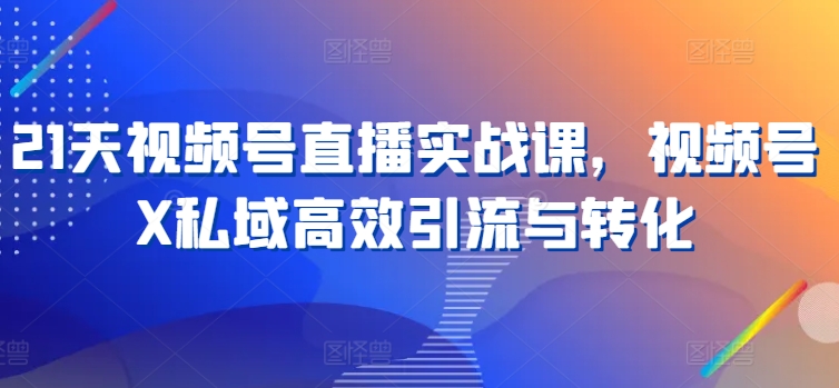 21天视频号直播实战课，视频号X私域高效引流与转化| 网创圈