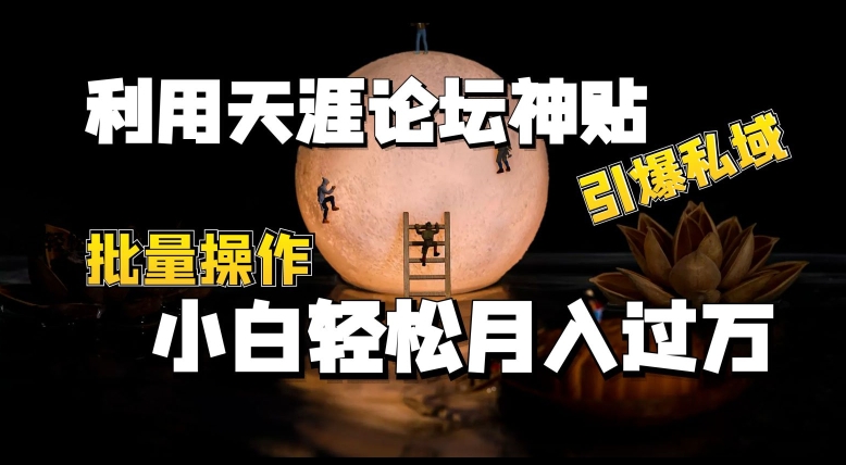 利用天涯论坛神贴，引爆私域，批量操作，小白轻松月入过w【揭秘】| 网创圈