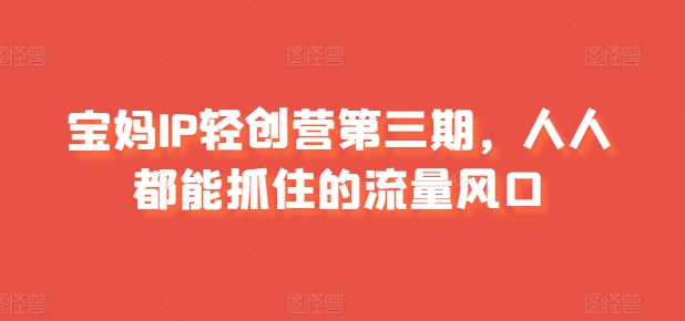 宝妈IP轻创营第三期，人人都能抓住的流量风口| 网创圈