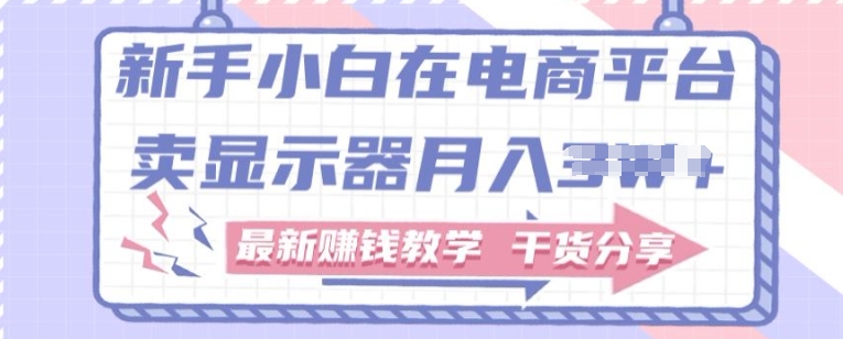 新手小白如何做到在电商平台卖显示器，最新赚钱教学干货分享| 网创圈
