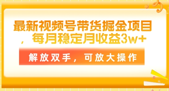 最新视频号带货掘金项目，每月稳定月收益1w+，解放双手，可放大操作| 网创圈