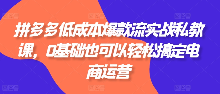 拼多多低成本爆款流实战私教课，0基础也可以轻松搞定电商运营| 网创圈
