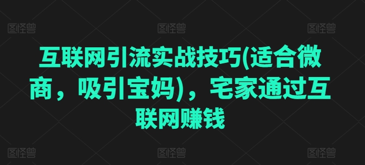 互联网引流实战技巧(适合微商，吸引宝妈)，宅家通过互联网赚钱| 网创圈