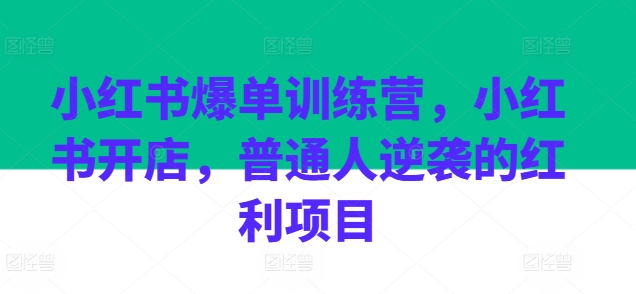 小红书爆单训练营，小红书开店，普通人逆袭的红利项目| 网创圈