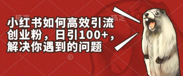 小红书如何高效引流创业粉，日引100+，解决你遇到的问题【揭秘】| 副业网
