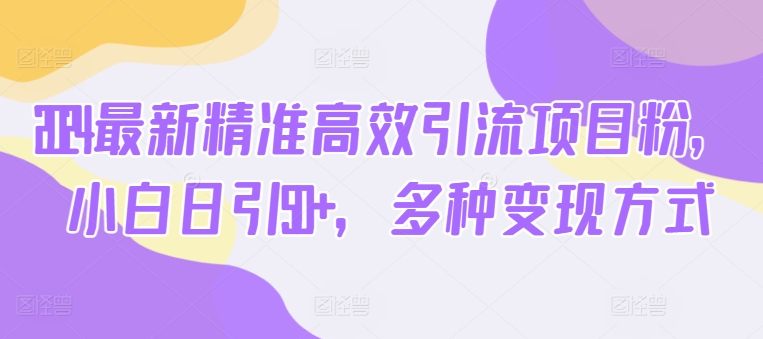 2024最新精准高效引流项目粉，小白日引50+，多种变现方式| 网创圈