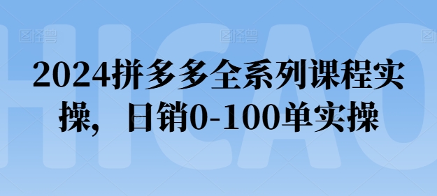 2024拼多多全系列课程实操，日销0-100单实操【必看】| 网创圈
