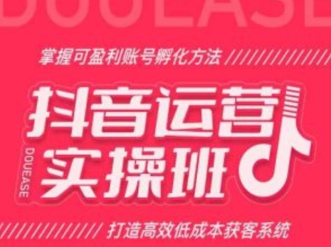 抖音运营实操班，掌握可盈利账号孵化方法，打造高效低成本获客系统| 网创圈