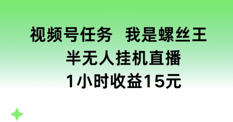 视频号任务，我是螺丝王， 半无人挂机1小时收益15元【揭秘】| 网创圈