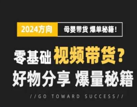 短视频母婴赛道实操流量训练营，零基础视频带货，好物分享，爆量秘籍| 网创圈