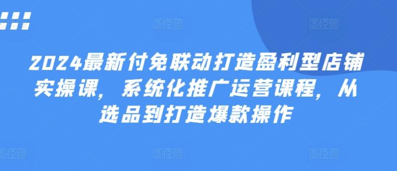 2024最新付免联动打造盈利型店铺实操课，​系统化推广运营课程，从选品到打造爆款操作| 网创圈