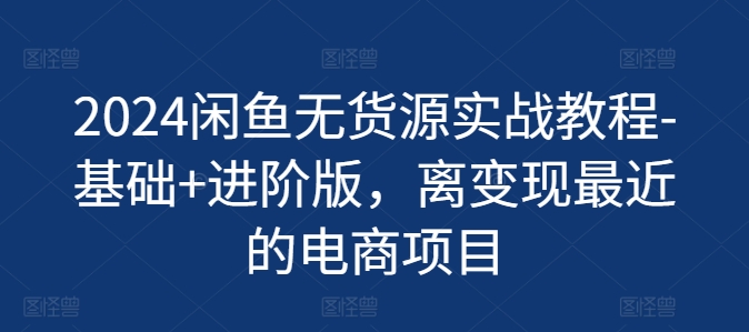 2024闲鱼无货源实战教程-基础+进阶版，离变现最近的电商项目| 网创圈