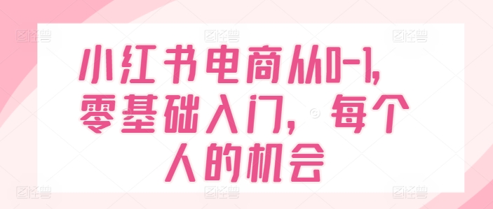 小红书电商从0-1，零基础入门，每个人的机会| 网创圈