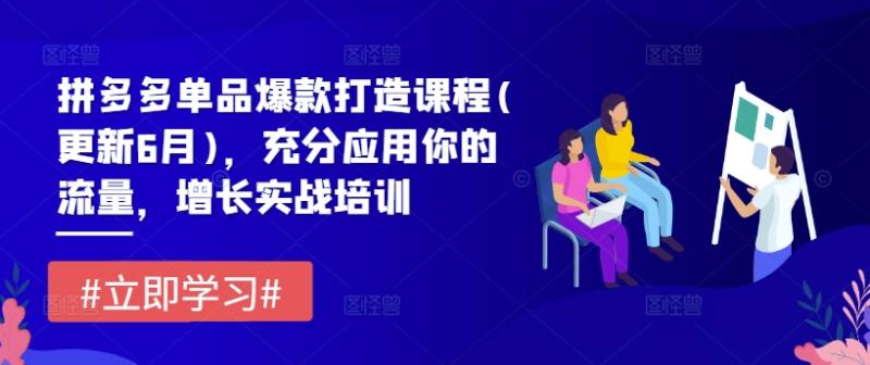 拼多多单品爆款打造课程(更新6月)，充分应用你的流量，增长实战培训| 网创圈