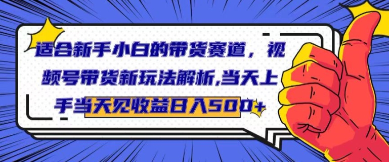 适合新手小白的带货赛道，视频号带货新玩法解析，当天上手当天见收益，日入500+| 网创圈