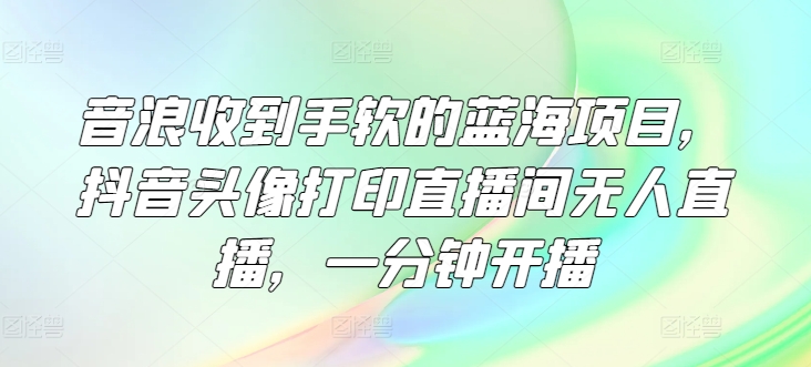 音浪收到手软的蓝海项目，抖音头像打印直播间无人直播，一分钟开播| 网创圈