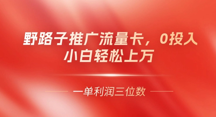 野路子推广流量卡，一单利润上百，0投入，小白轻松上万| 网创圈