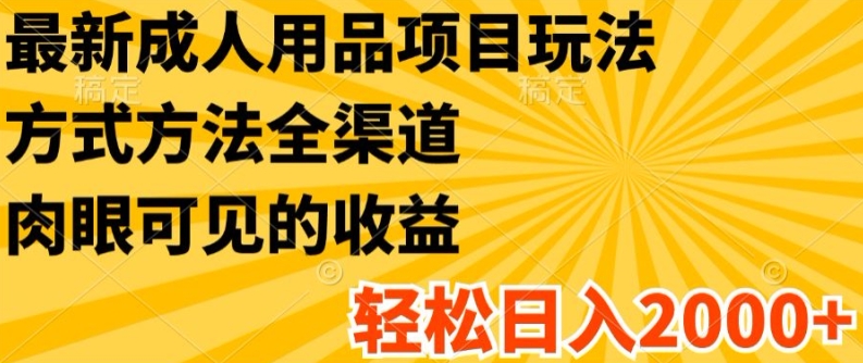 最新成人用品项目玩法，方式方法全渠道，轻松日入2K+【揭秘】| 网创圈