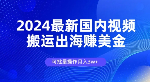 2024最新国内视频搬运出海赚美金，可批量操作月入3w| 网创圈