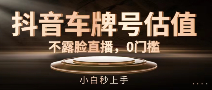 抖音车牌号估值，不露脸直播，0门槛，小白秒上手【揭秘】| 网创圈
