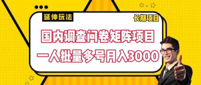 国内调查问卷矩阵项目，一人批量多号月入3000【揭秘】| 网创圈