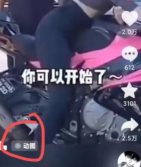 图片[2]| 2024年7月苹果手机动图搬运技术| 网创圈