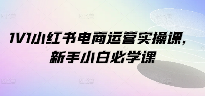 1V1小红书电商运营实操课，新手小白必学课| 副业网