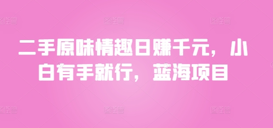 二手原味情趣日赚千元，小白有手就行，蓝海项目| 网创圈