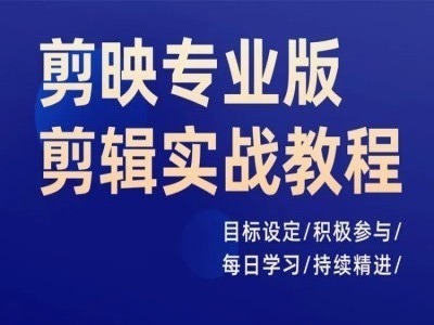剪映专业版剪辑实战教程，目标设定/积极参与/每日学习/持续精进| 网创圈