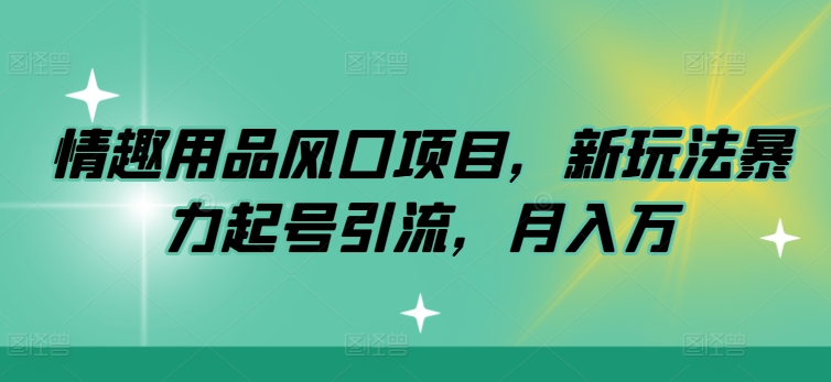 情趣用品风口项目，新玩法暴力起号引流，月入万| 网创圈