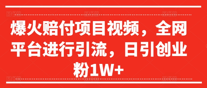 爆火赔付项目视频，全网平台进行引流，日引创业粉1W+【揭秘】| 网创圈