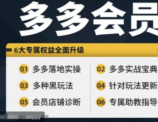 拼多多会员，拼多多实战宝典+实战落地实操，从新手到高阶内容全面覆盖| 网创圈