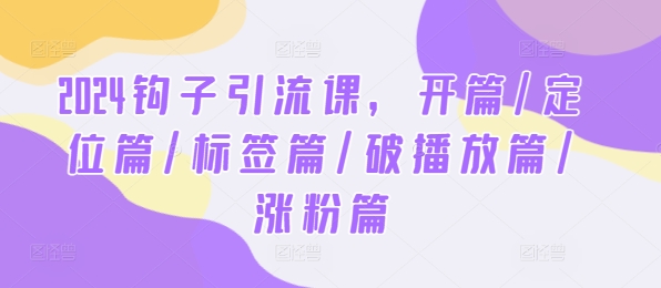 2024钩子引流课，开篇/定位篇/标签篇/破播放篇/涨粉篇| 网创圈