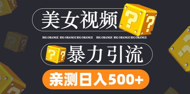 搬运tk美女视频全网分发，日引s粉300+，轻松变现，不限流量不封号【揭秘】| 网创圈