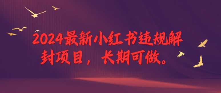 2024最新小红书违规解封项目，长期可做，一个可以做到退休的项目【揭秘】| 网创圈