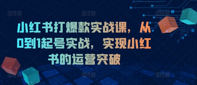 小红书打爆款实战课，从0到1起号实战，实现小红书的运营突破| 网创圈
