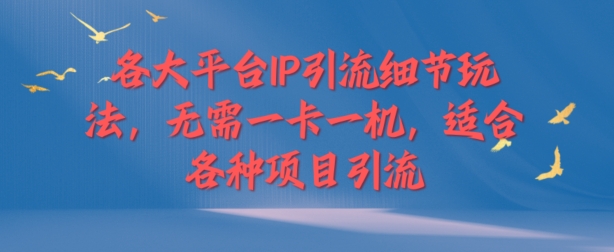 各大平台IP引流细节玩法，无需一卡一机，适合各种项目引流| 网创圈