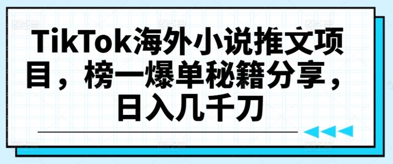 TikTok海外小说推文项目，榜一爆单秘籍分享，日入几千刀| 网创圈