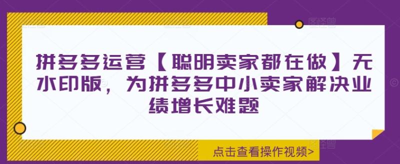 拼多多运营【聪明卖家都在做】无水印版，为拼多多中小卖家解决业绩增长难题| 网创圈