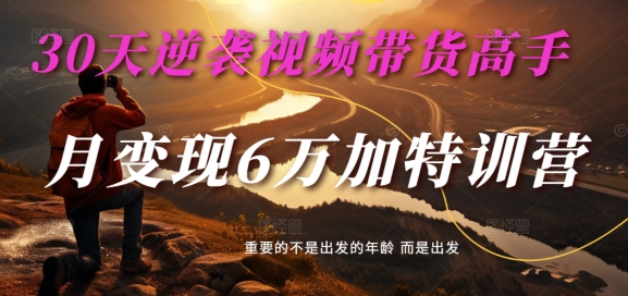 30天逆袭视频带货高手，单月变现6万加特训营-麦子甜| 网创圈