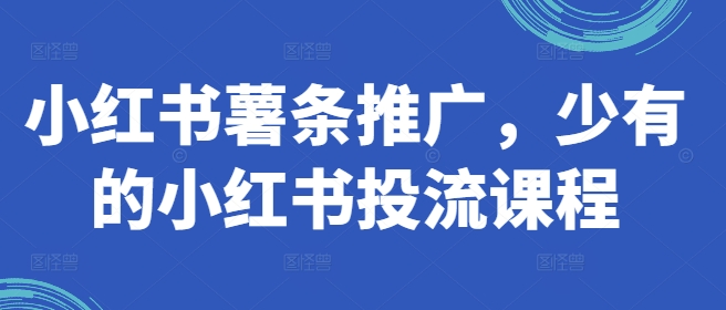 小红书薯条推广，少有的小红书投流课程| 网创圈
